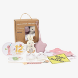 bundle of delight sunny day baby (rabbit)
