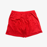 mens premiumgoods. modern logo mesh shorts (red)