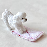 cleaning dogs blind box