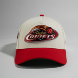 new era x premiumgoods. houston comets 9forty a-frame snapback (chrome/front door red)