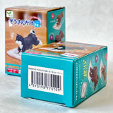 cleaning dogs blind box