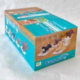 cleaning dogs blind box