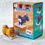 cleaning dogs blind box