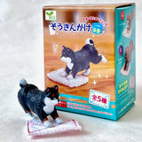 cleaning dogs blind box