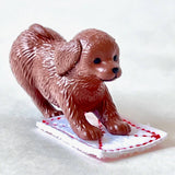 cleaning dogs blind box