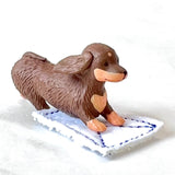 cleaning dogs blind box