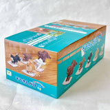 cleaning dogs blind box