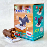 cleaning dogs blind box