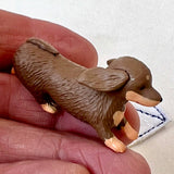 cleaning dogs blind box