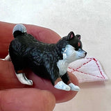 cleaning dogs blind box