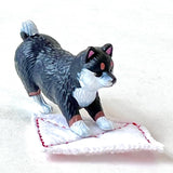 cleaning dogs blind box