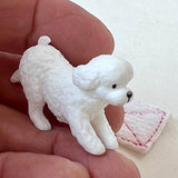 cleaning dogs blind box