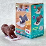 cleaning dogs blind box