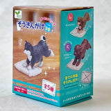 cleaning dogs blind box