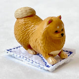 cleaning dogs blind box